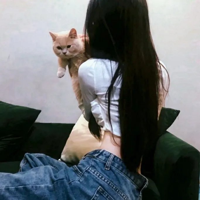 都是真的