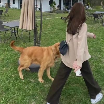 美人鱼第一季