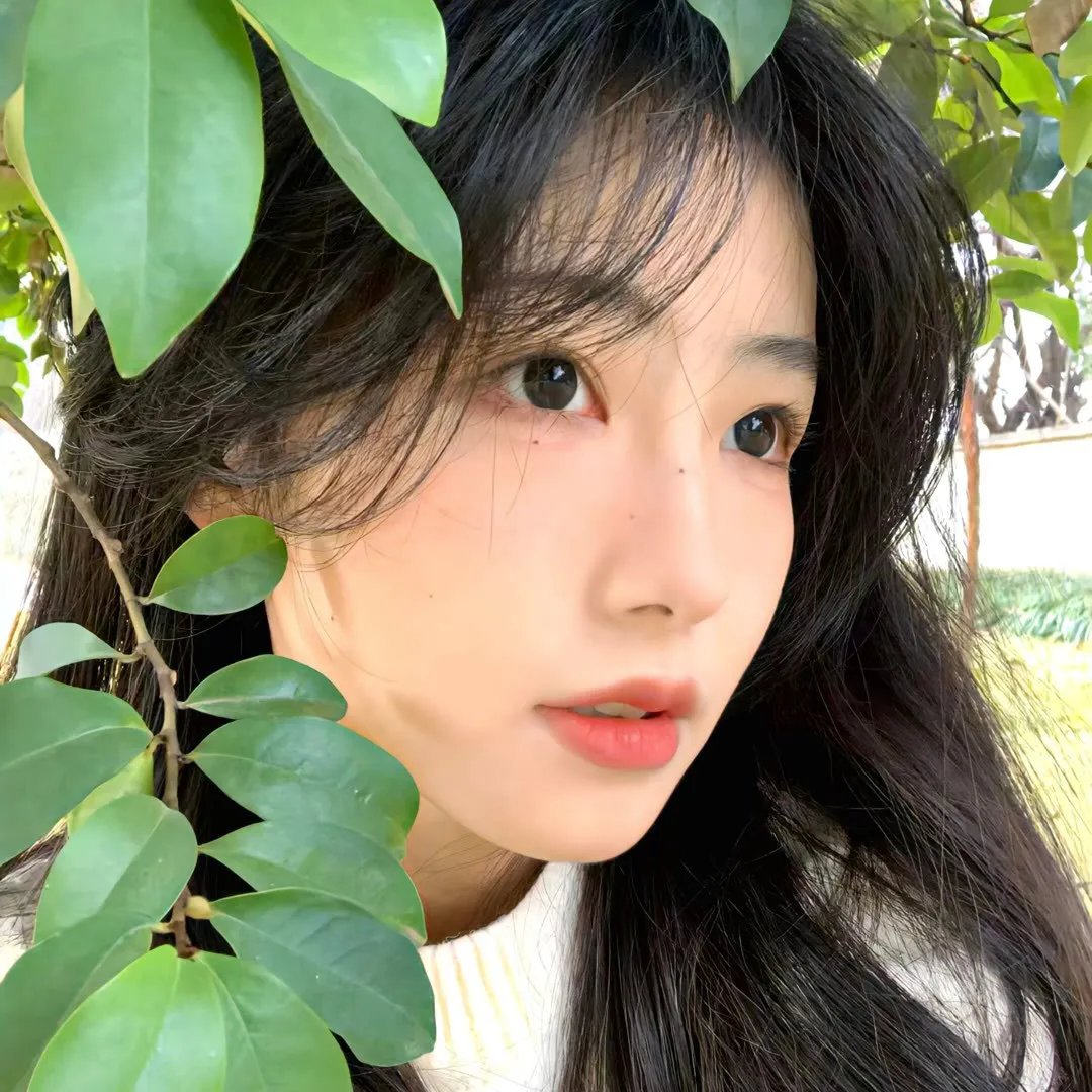 狱友们
